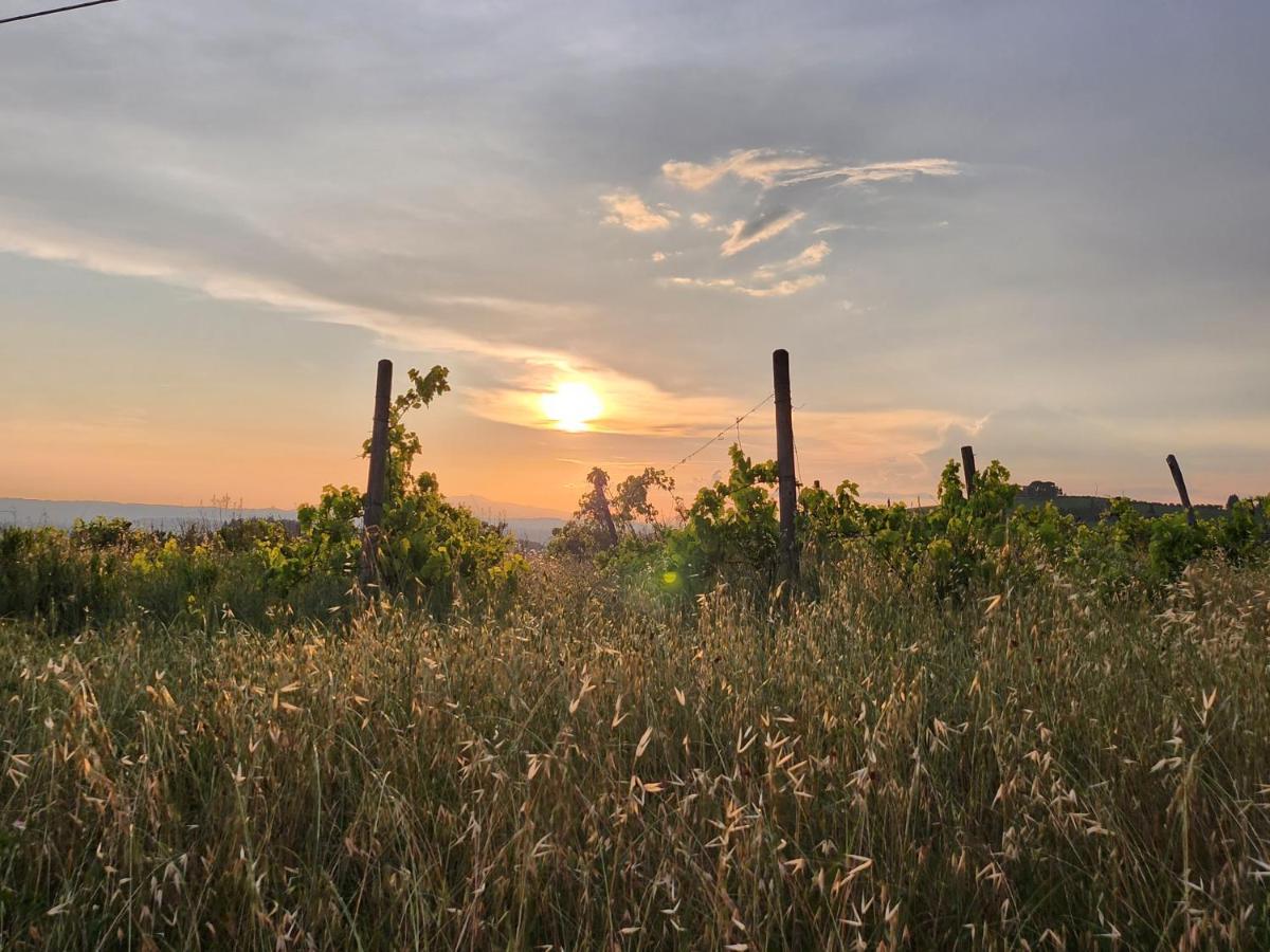 مبيت وإفطار تْشيرتالدو Il Giuggiolo - La Collina Della Quiete المظهر الخارجي الصورة